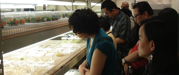 An International Short Course in Agricultural Biotechnology