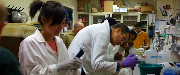 Molecular Plant Breeding - An International Short Course on Practical Applications of Molecular tools for Plant Breeding