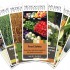 all brochures 1